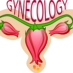 gynecology, flower, uterus