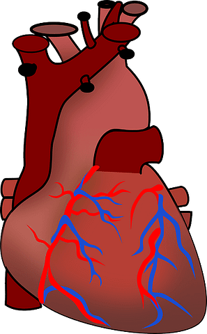  heart health