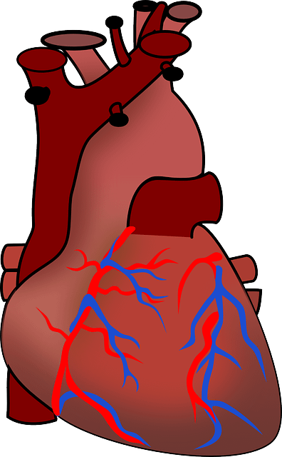 heart health