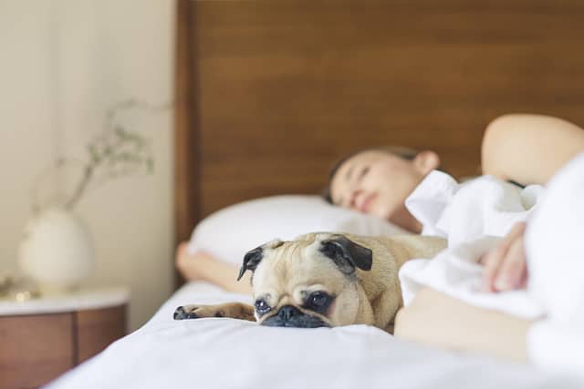 waking up early helps in depression