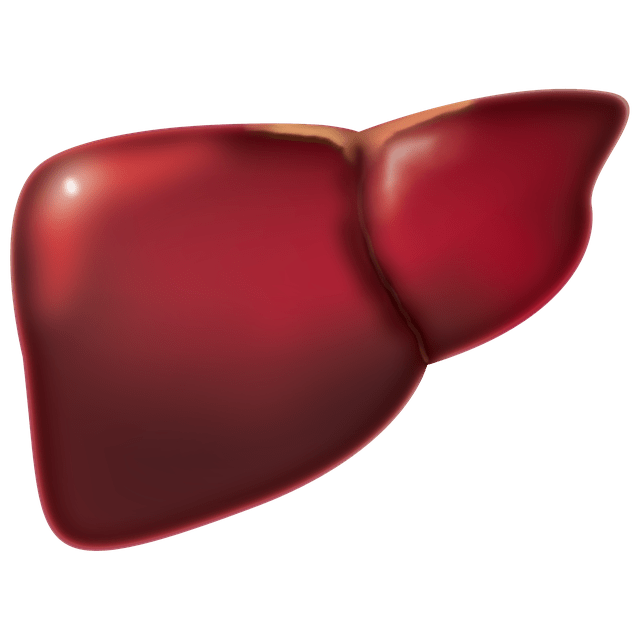 fatty liver disorder