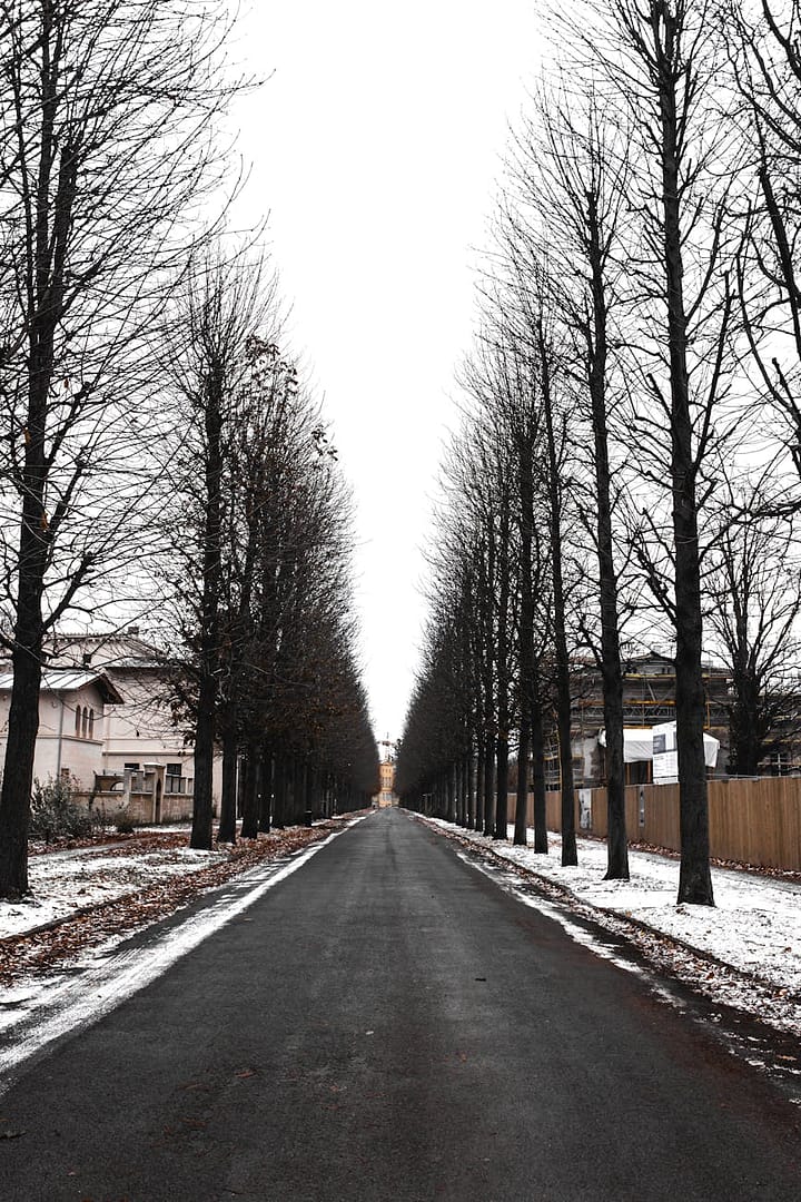 winter alleyway in potsdam germany