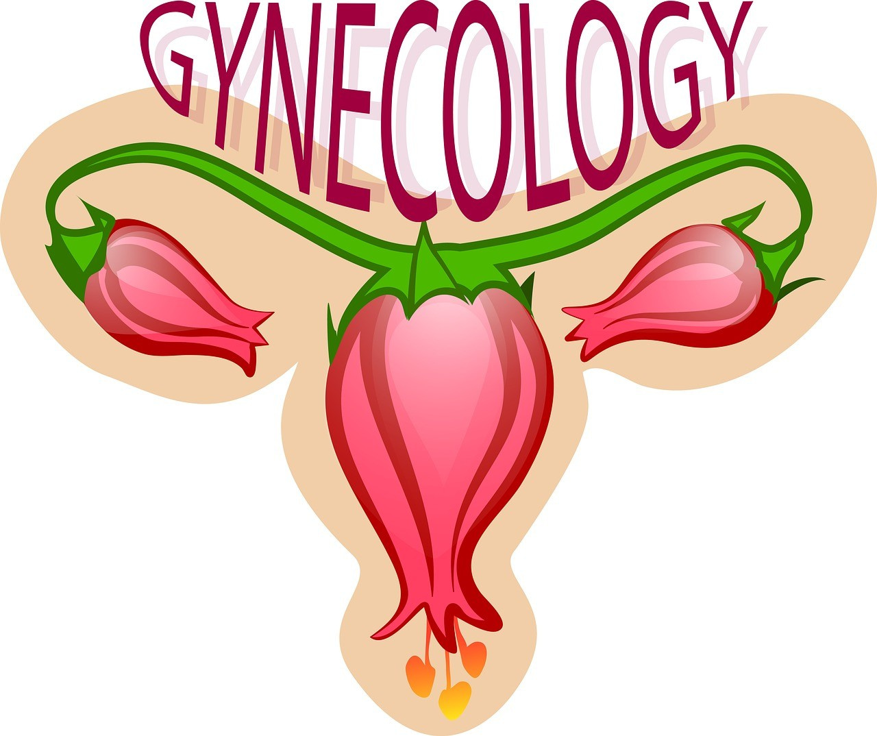 gynecology, flower, uterus